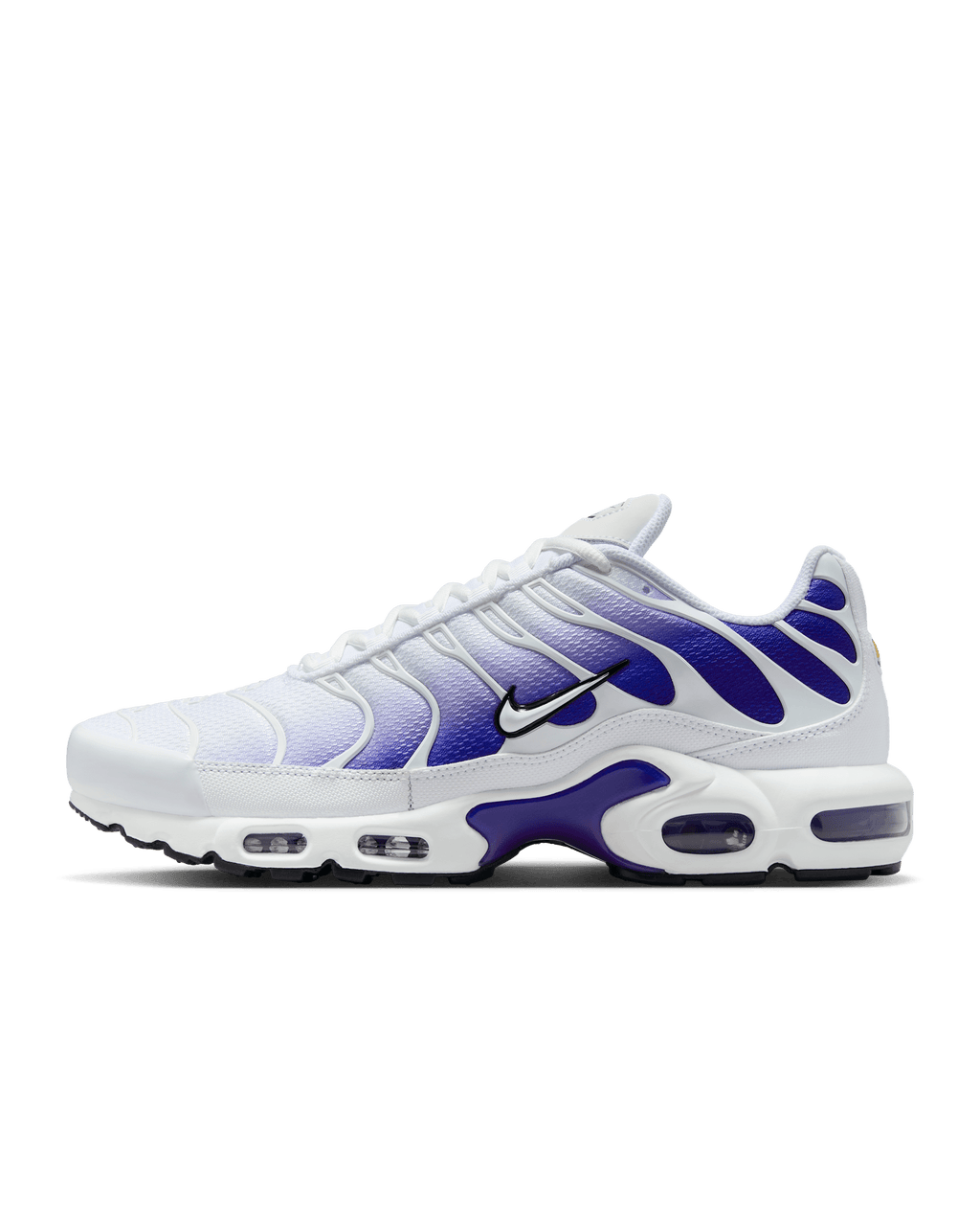 Nike Air Max Plus Blue