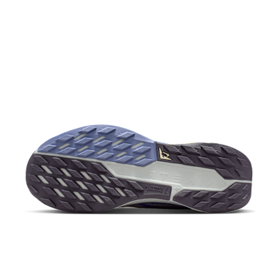 Nike Pegasus Trail 5 Blue