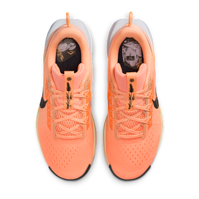 Nike Pegasus Trail 5 Orange