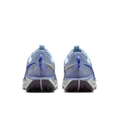 Nike Pegasus Trail 5 Blue