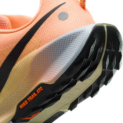 Nike Pegasus Trail 5 Orange