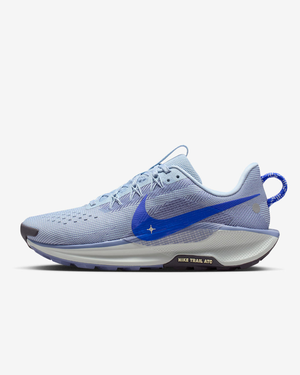 Nike Pegasus Trail 5 Blue