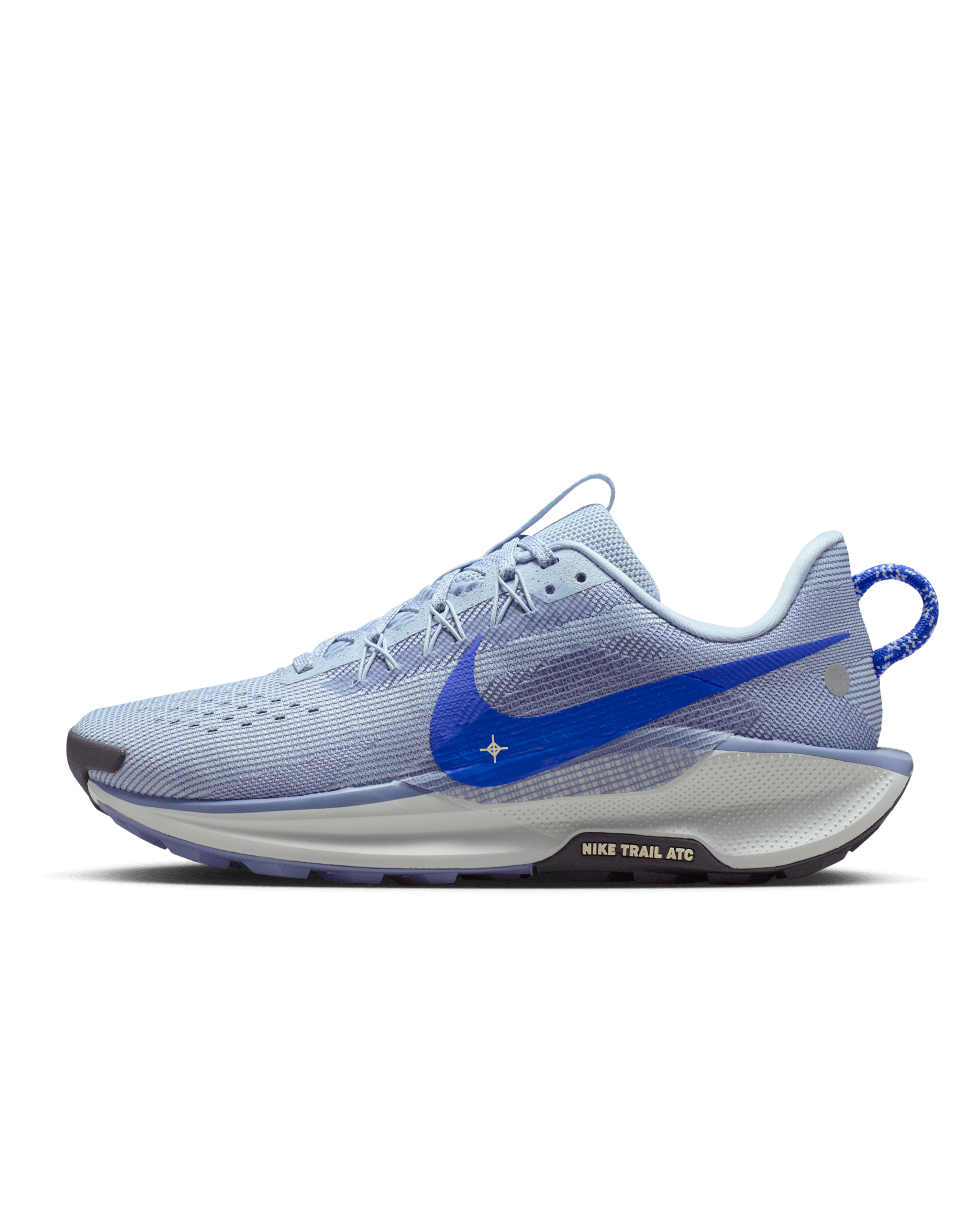 Nike Pegasus Trail 5 Blue